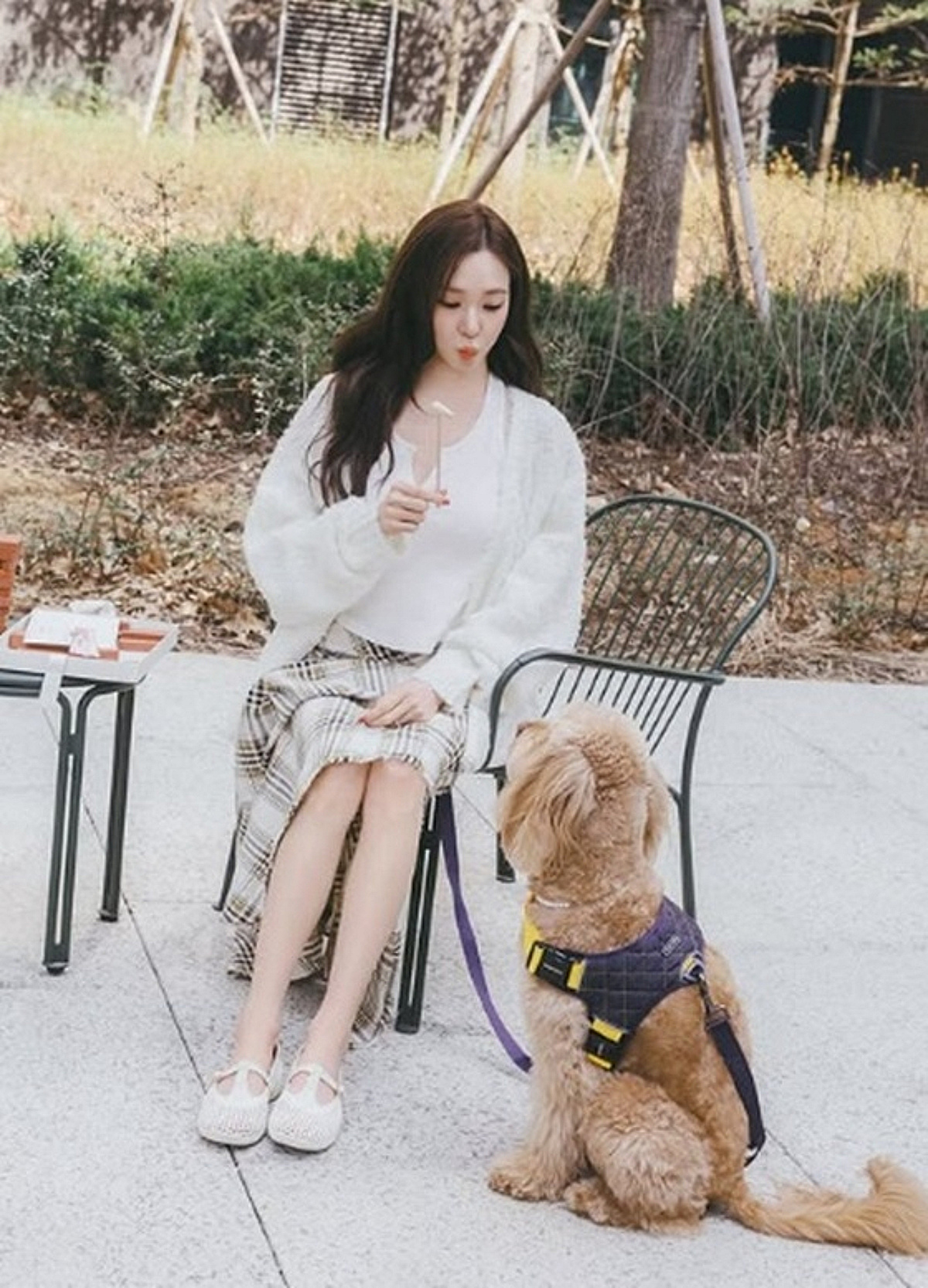 티파니, ♥변요한이 찍어줬나..반려견과 행복한 일상