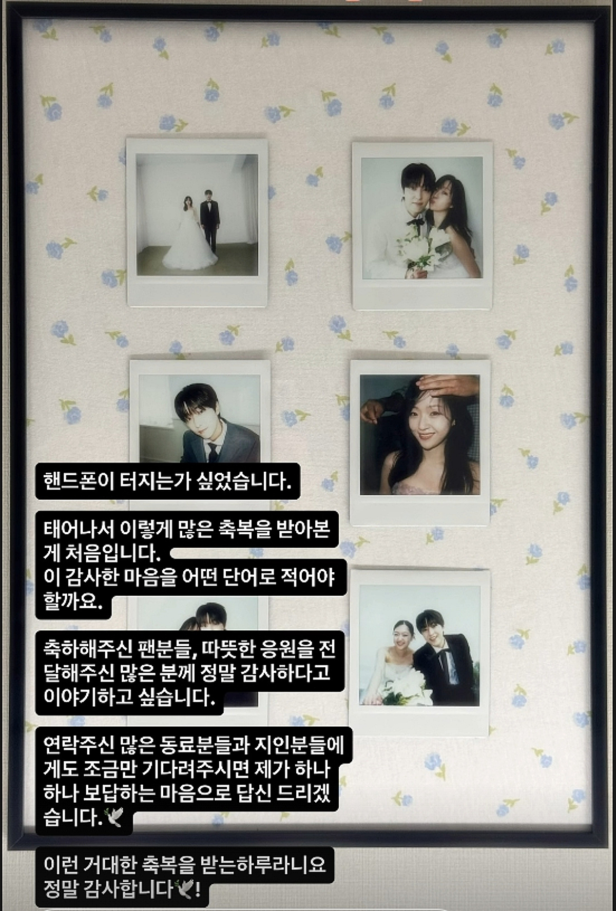 "핸드폰 터지는 줄"..'혼전임신' 이유진♥차경은, 11월 초고속 결혼 소감 [스타이슈]