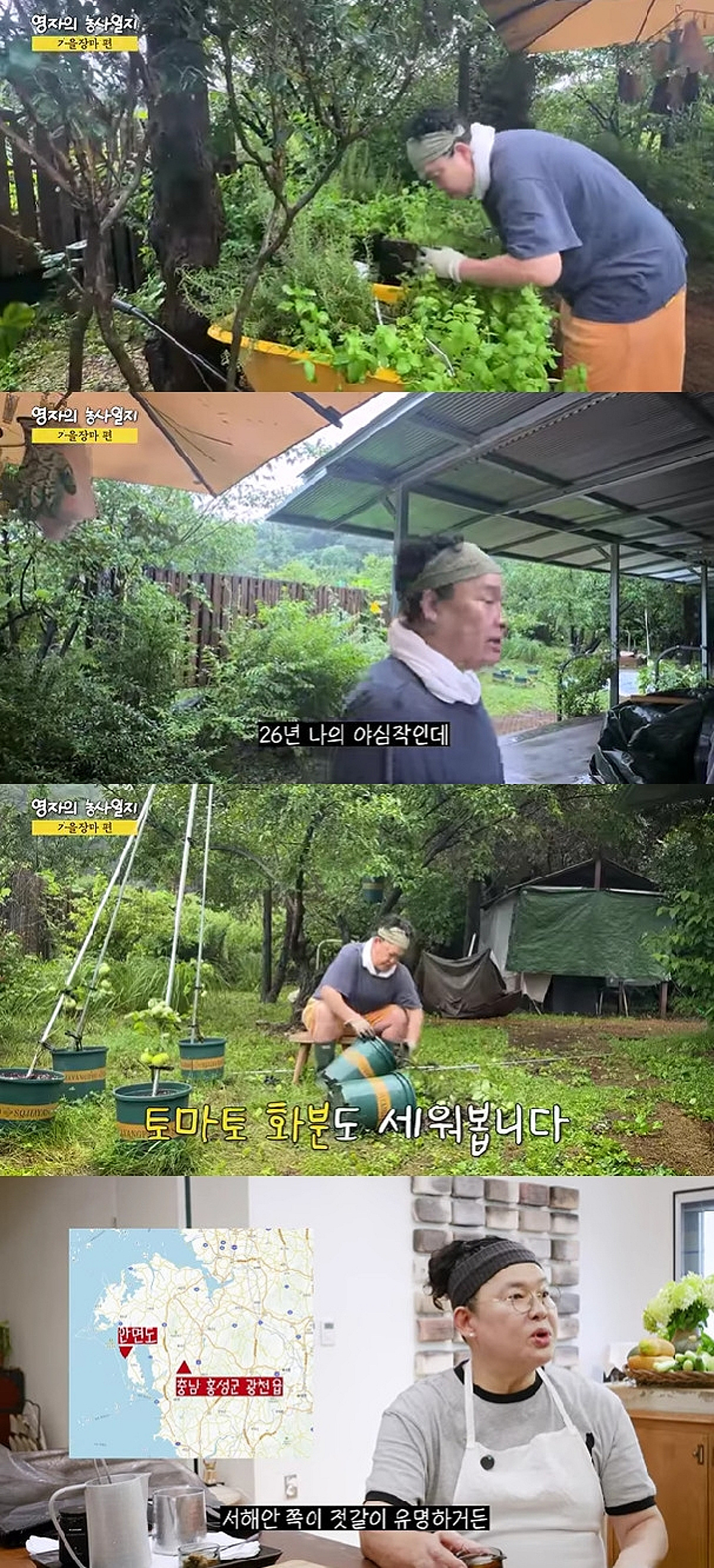 '3도 4촌' 이영자, 장마로 앞마당 텃밭 쑥대밭 "내 야심작 다 쓰러져"