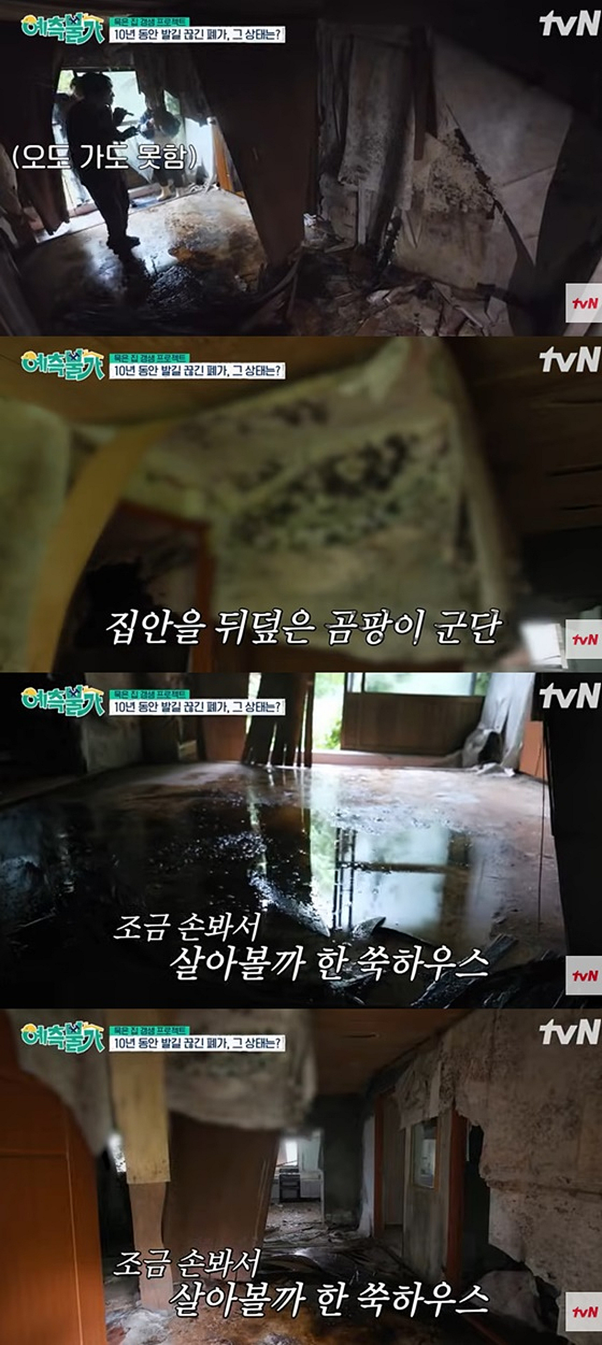 김숙, 10년 방치된 제주 집 충격적 상태..곰팡이·악취 가득 "흉가 체험 같아"