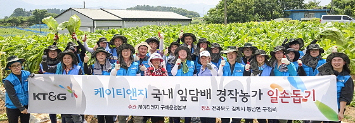 KT&G, 잎담배 수확 봉사 20년째 진행