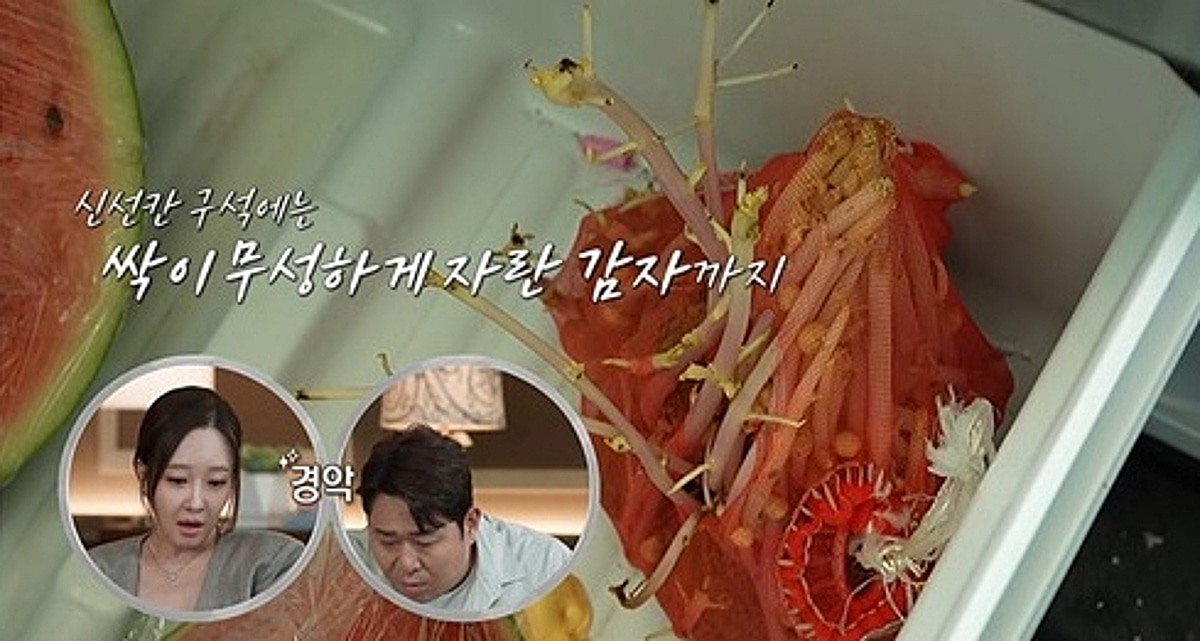 '김밥지옥 부부' 초파리 무더기+싹 난 감자..충격적 집 상태 '경악' [결혼지옥]