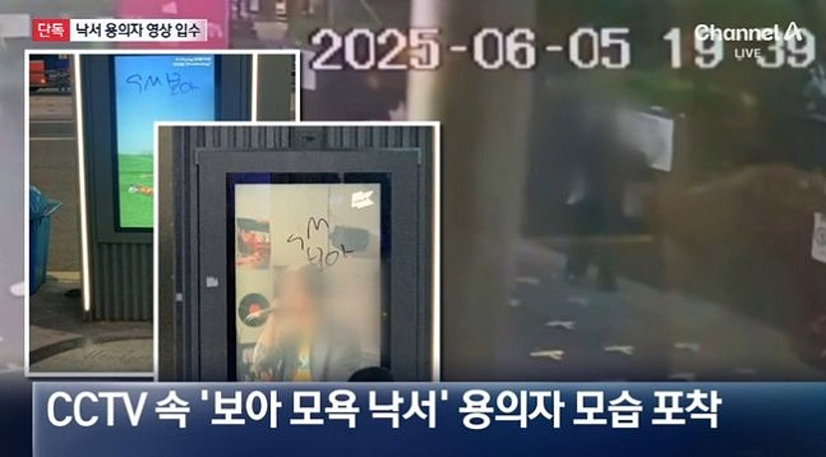 "보아 XXX" 서울 곳곳에 낙서 테러, 알고 보니 상습 전과자..30대 女, 재판행 [스타이슈]