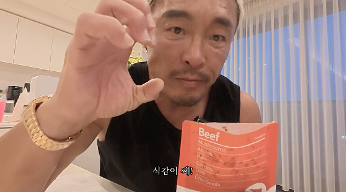 추성훈, 반려견 쿄로 화식까지 먹었다.."인간으로는 처음"