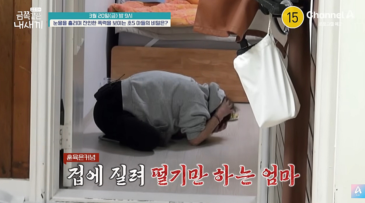 母 머리채 잡고 주먹질..父 닮은 초5 아들에 경악 "모두가 PTSD" [금쪽같은 내 새끼]