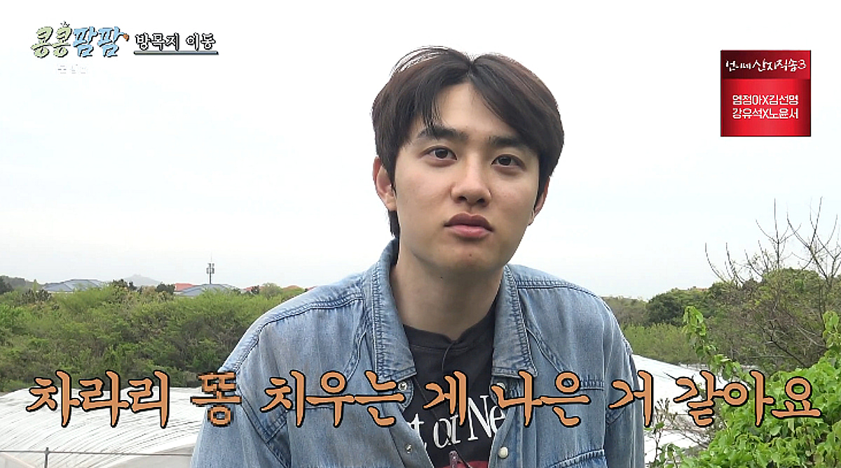 이광수, 말 집단 탈출 돌발상황에 '멘붕'..도경수 "똥 치우는 게 나아" [콩콩팜팜][별별TV]
