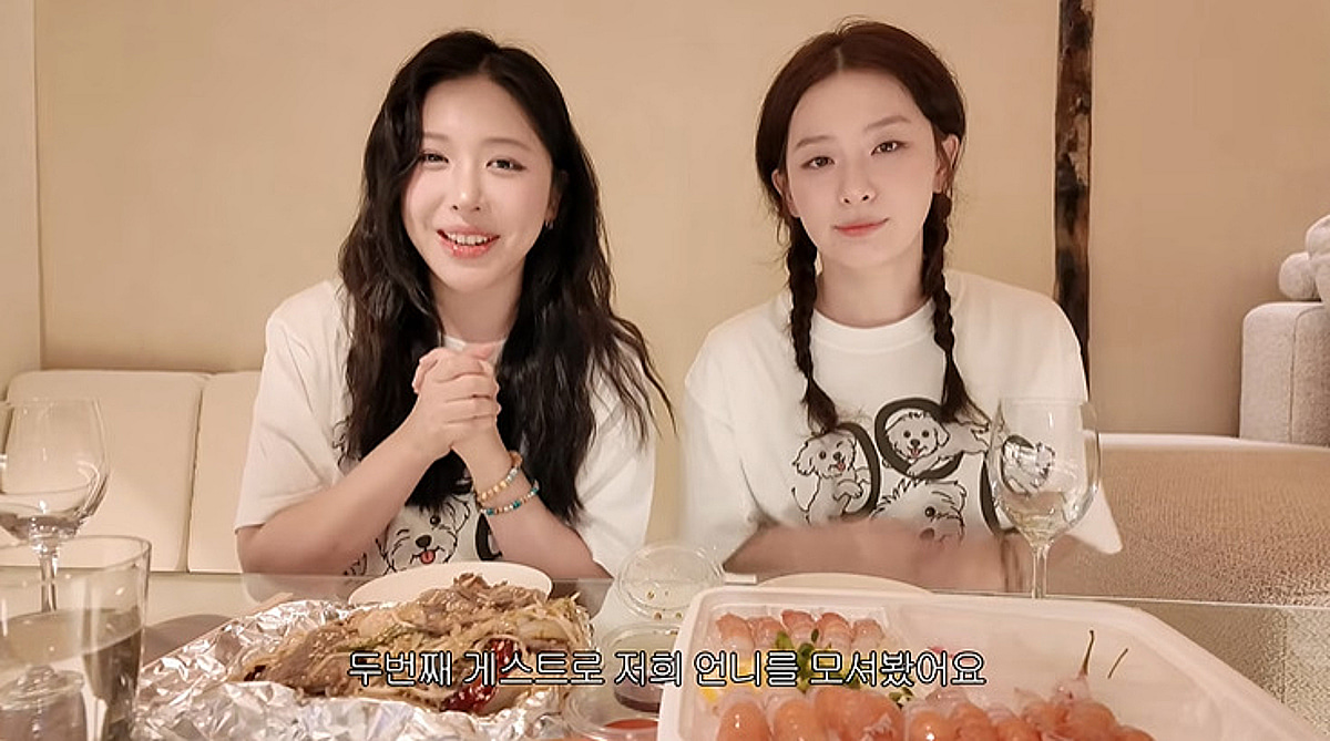 레드벨벳 슬기 사촌 유튜버 '수키진', 갑작스러운 사고로 사망.."마음 아파" 추모 댓글