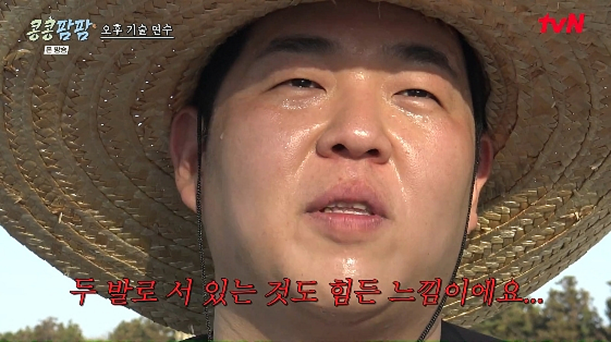 문상훈, 3만평 '소몰이' 후 소똥 냄새에 경악.."두 발로 서 있기 힘들어"[콩콩팜팜]
