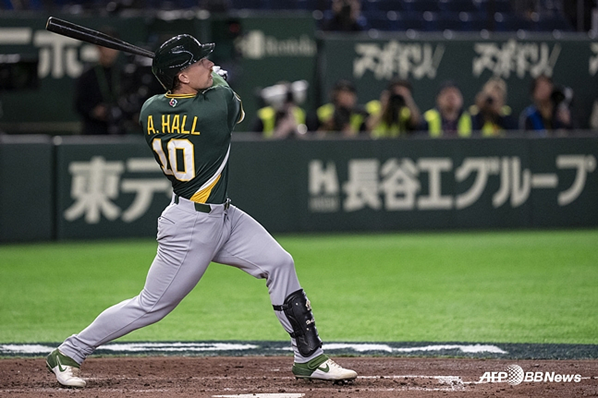 스타뉴스 알렉스 홀 관련 이미지