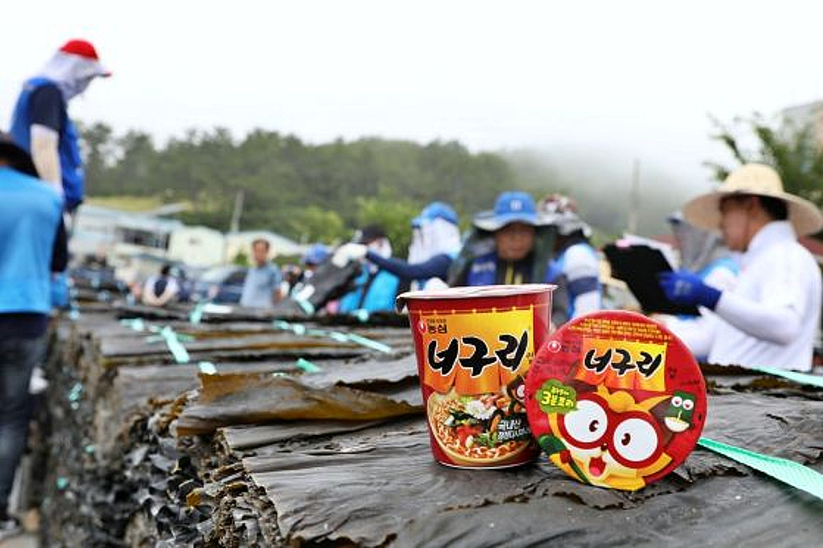 농심-완도, 45년째 이어진 '햇다시마 동맹'