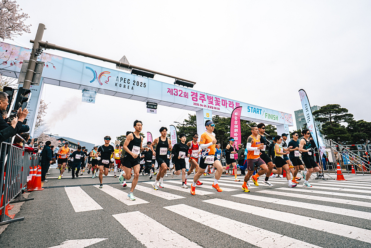 관광공사, '경주벚꽃마라톤'으로 글로벌 러너 유혹… K-스포츠 관광 박차