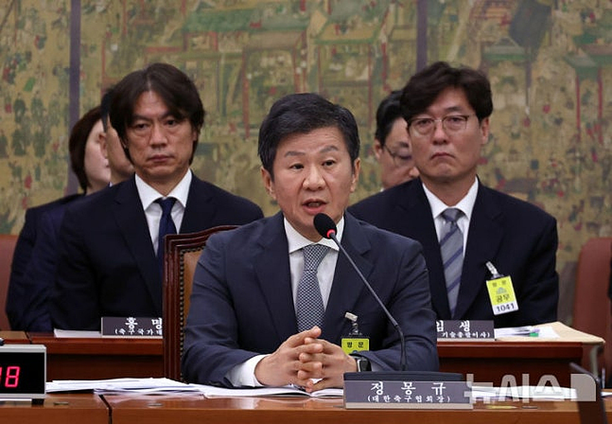 "유기동물 봉사 때문에 청문회 불참" 논란의 시·도 축구협회장들 잇따라 불참 통보