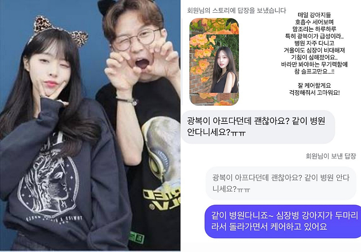 이솔이, 반려견들 심장병 투병 슬픔.."♥박성광과 돌아가며 케어"
