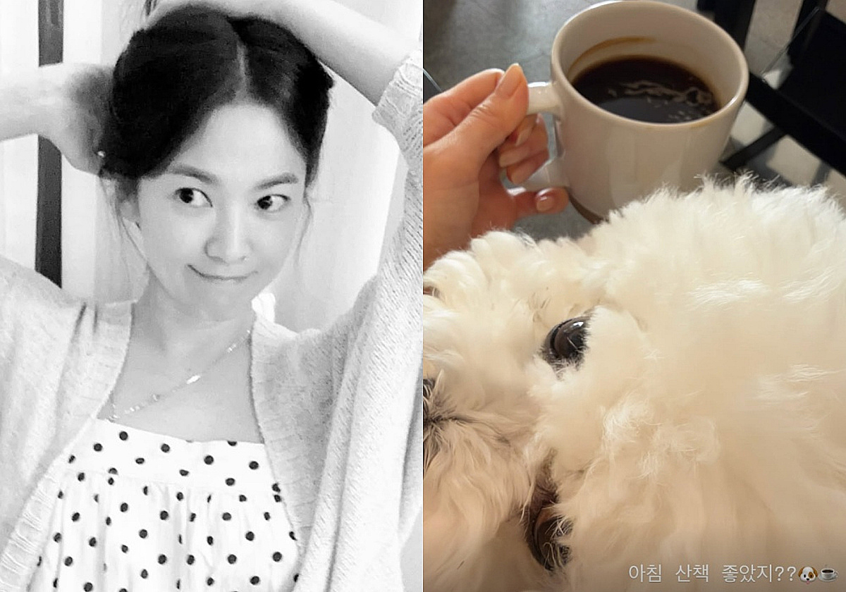 송혜교, 루비 앞에선 한없이 무장해제 "산책 좋았지?"