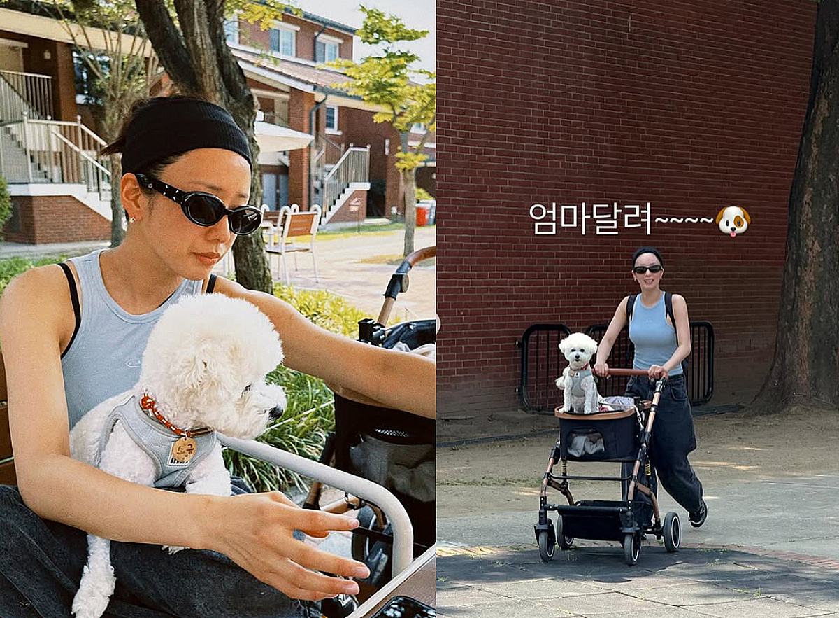 에이핑크 보미, ♥라도와 결혼 후 여유로운 일상.."엄마 달려"