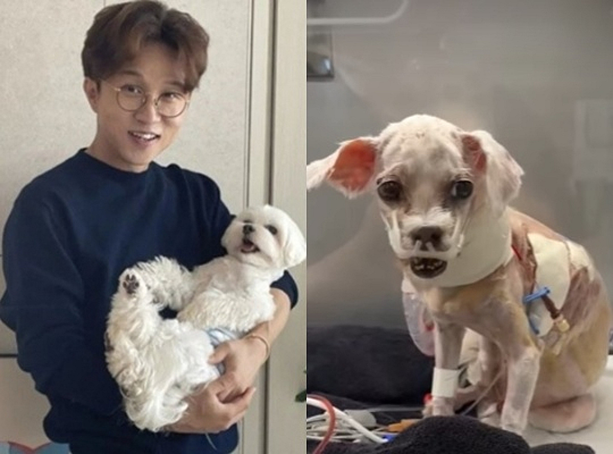 박성광, 노견 광복이 수술 끝났다..앙상하게 뼈만 남은 모습, 마음 아파도 '대견'