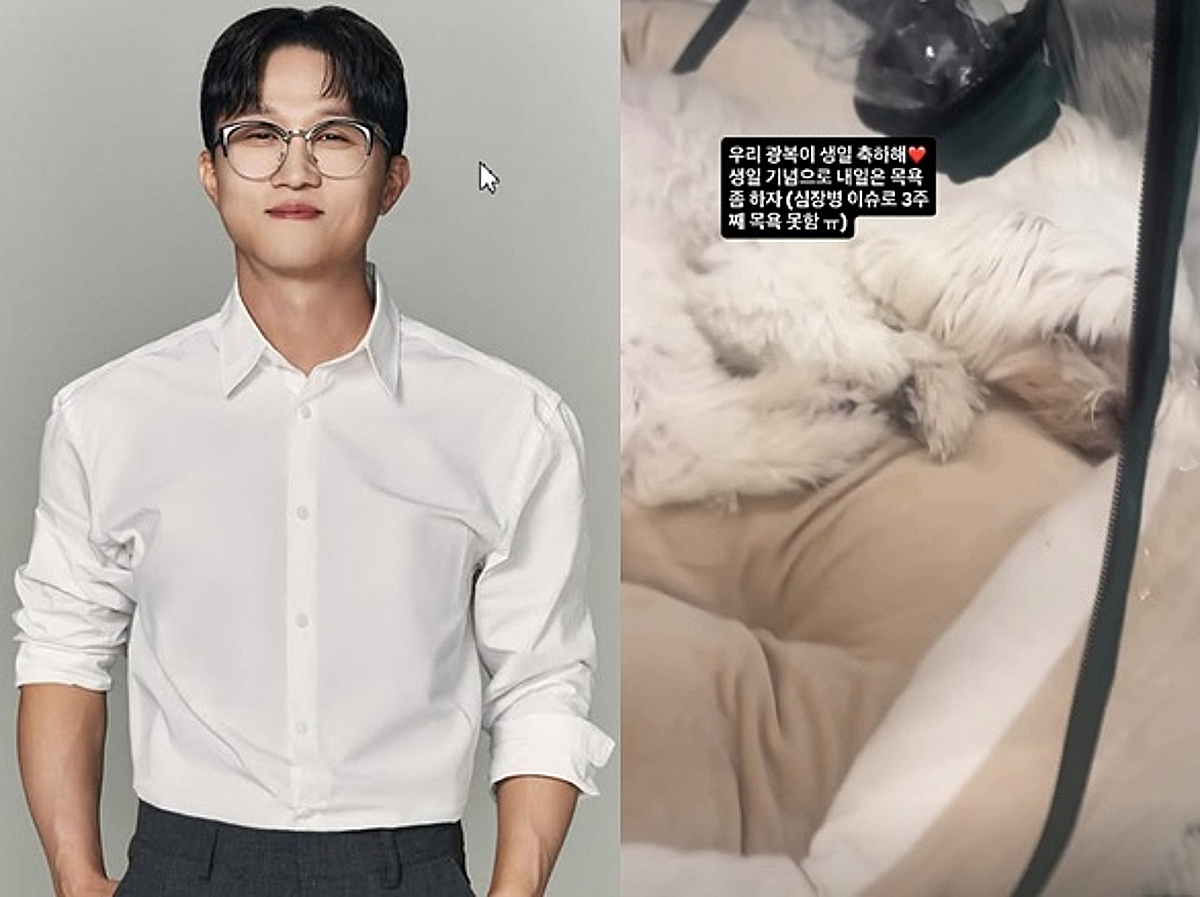 "심장병으로 3주째 목욕 못해" 박성광, 산소방에 누운 광복이에 '애틋' [스타이슈]
