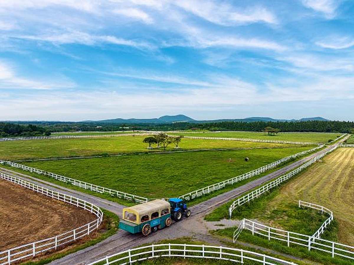 済州牧場の新感覚トラクター馬車ツアー