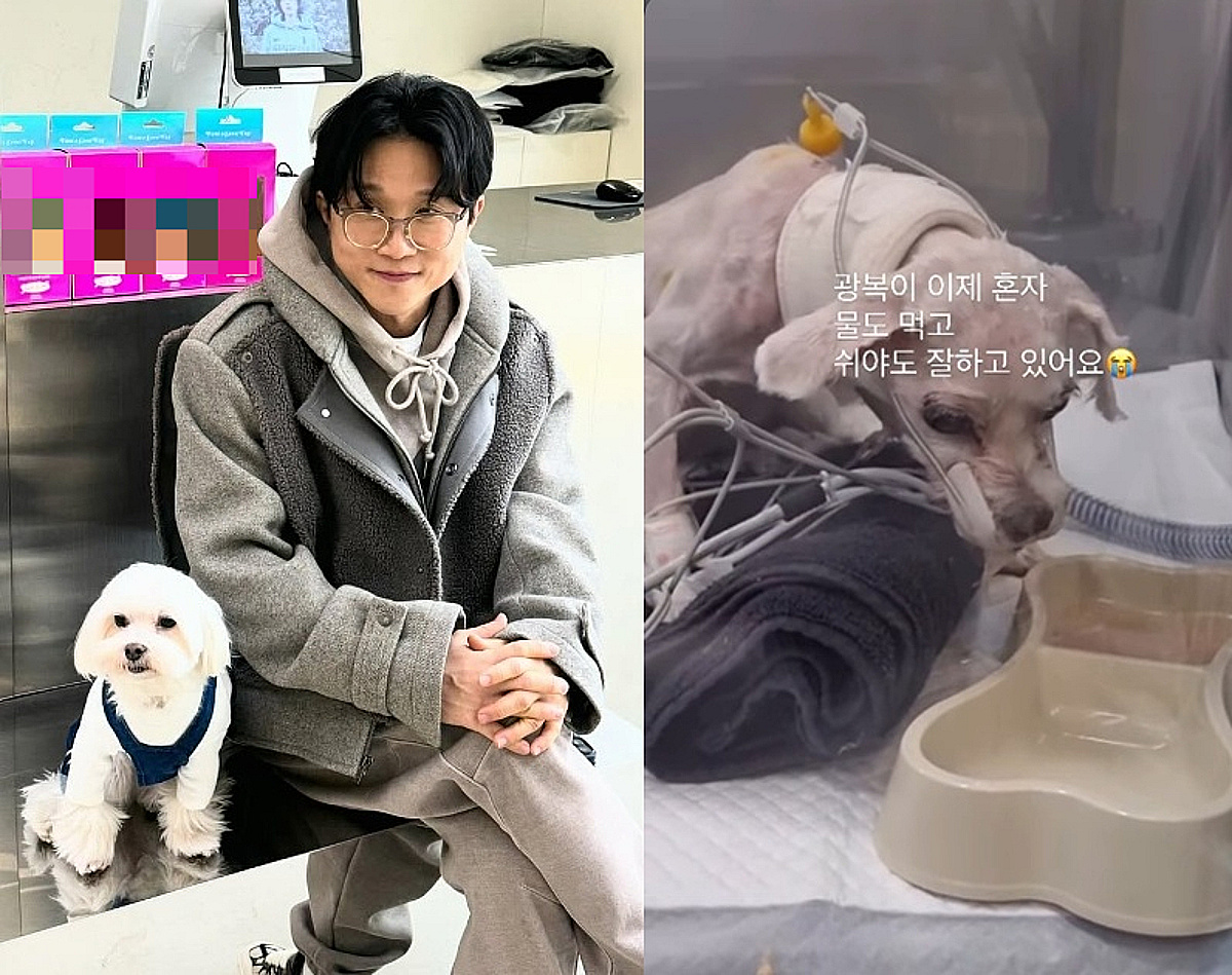 박성광, 투병 중인 반려견 광복이 근황 전해…“기도 덕분에 기력 회복 중”