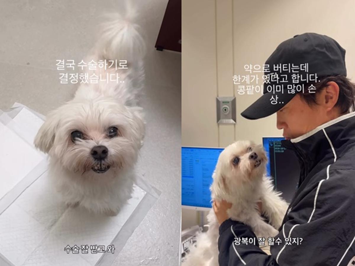 '이솔이♥' 박성광, 조심스럽게 전한 안타까운 소식 "광복이 많이 아파..수술 결정"