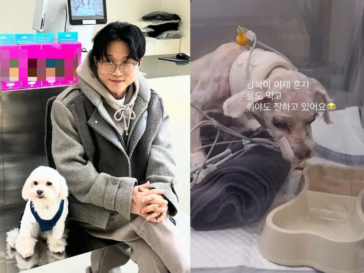"밥 스스로 못 먹어"..'이솔이♥' 박성광, 수술 마친 '광복이' 근황 [스타이슈]