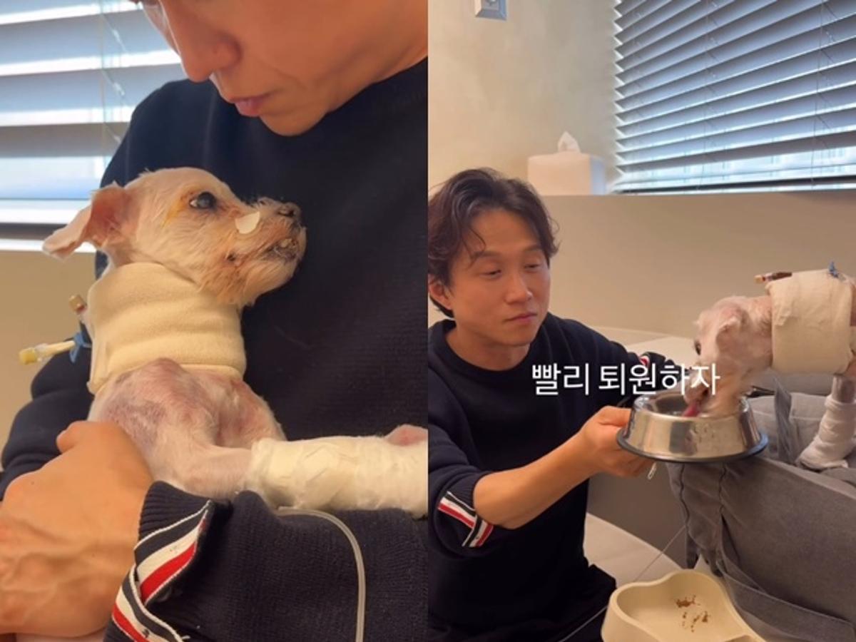 광복이, 온 몸 붕대 감고 '박성광 면회'..힘겹게 꼬리 흔들며 인사 [스타이슈]