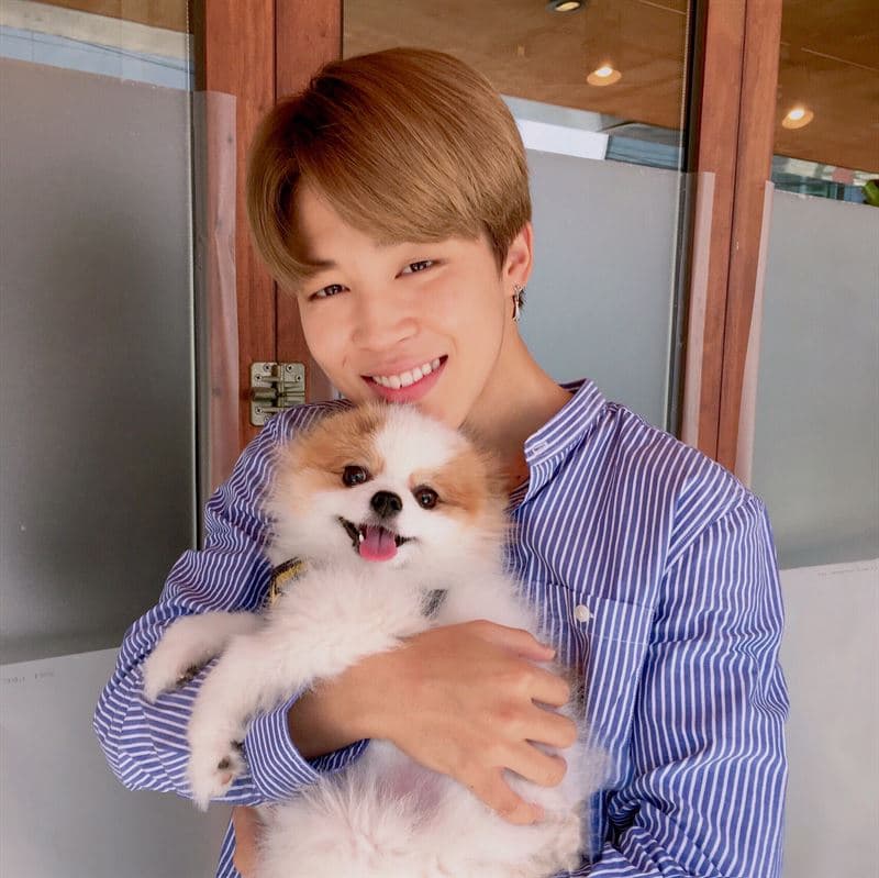 방탄소년단 지민 팬들, 생일 맞아 유기·멸종동물 보호 앞장..'월클 팬덤 문화'