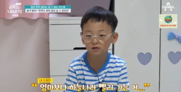 "母 보다 하늘나라 빨리 가는 것" 6살 子 충격 소원..父·母 오열 [금쪽상담소][★밤TView]