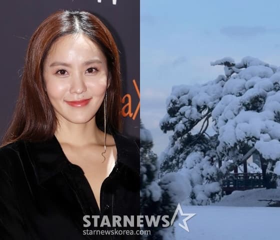 '제주 살이' 박지윤, 폭설로 '쓰러진 나무+결항 위기' 아찔한 근황