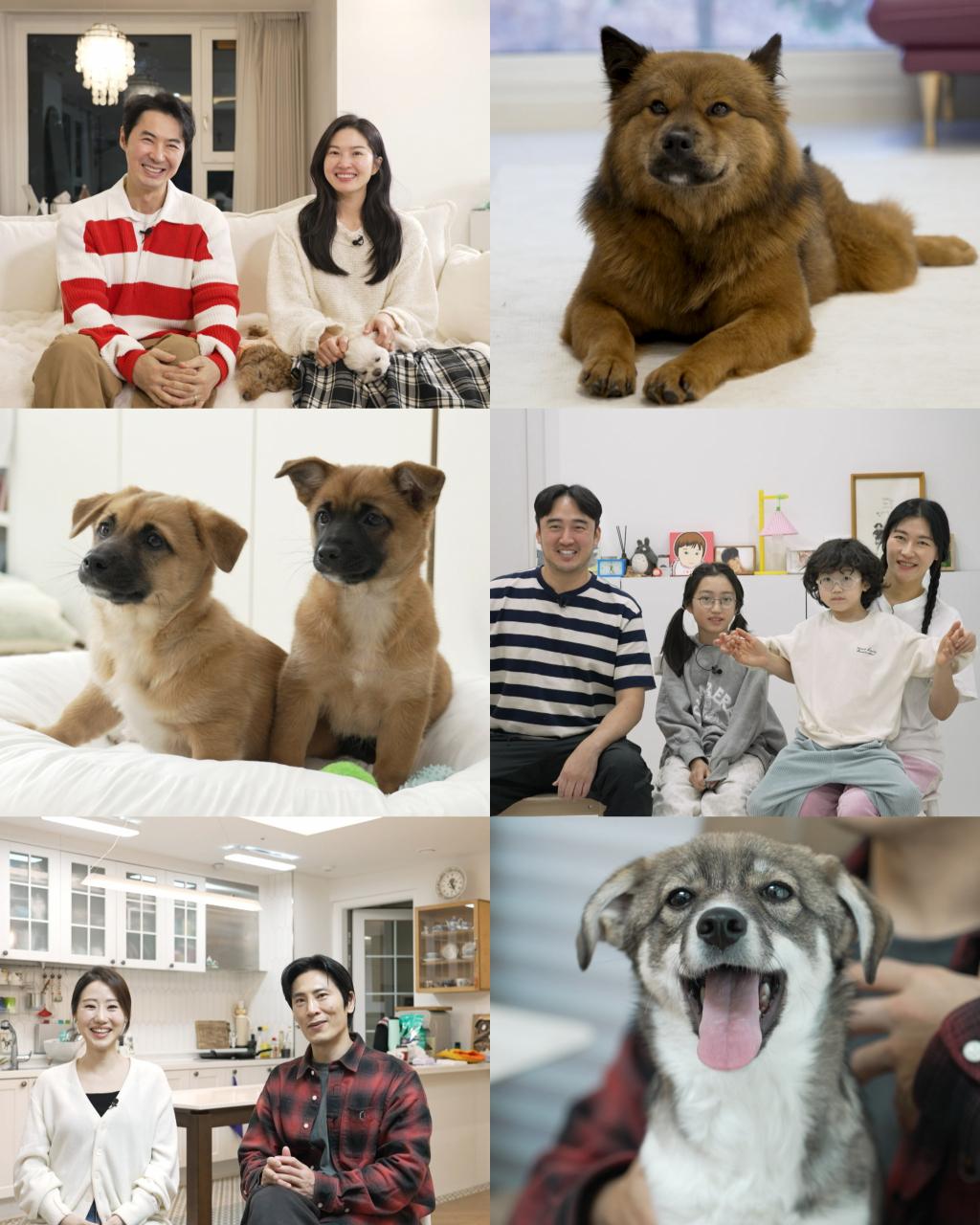 전진♥류이서, '동물농장' 출격..계약서에 도장 "이제부터 을!"