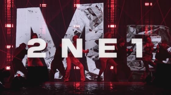 '15주년' 2NE1, 서울 파이널 앙코르 공연 임박..피켓팅 예고