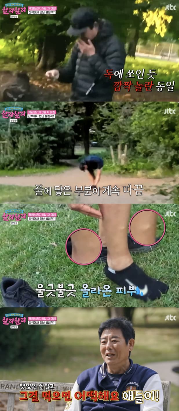 '샬라샬라' 성동일, 영국 생활 중 풀독 발생→응급 처치 "깻잎인 줄.."