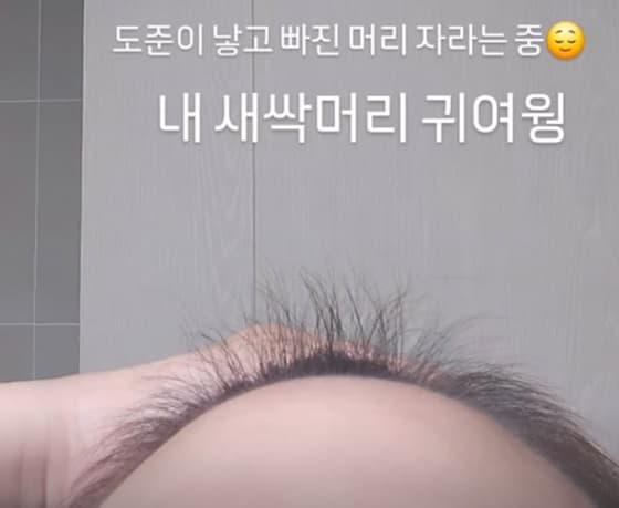 '아들 다섯 출산' 정주리, 산후 탈모 극복 중..자라는 새싹 머리 인증 "귀여워"