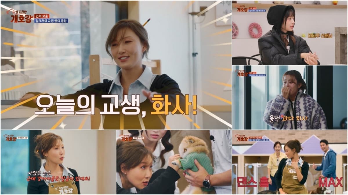 강소라, 마마무 화사 보고 울어버린 이유? [집 나가면 개호강]