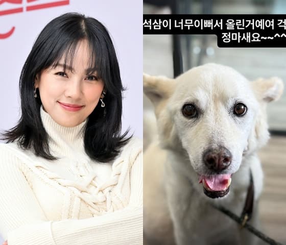 이효리, 암 말기 반려견 '석삼이' 근황 공개 "구아나도 잘 지내..걱정 말길"