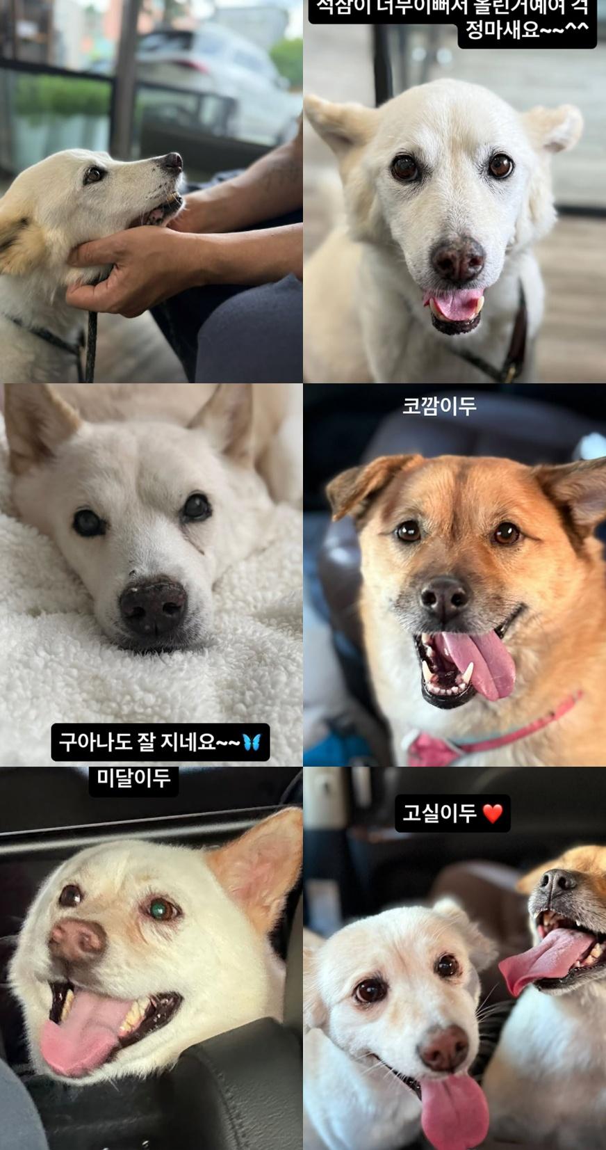 사진=이효리 SNS