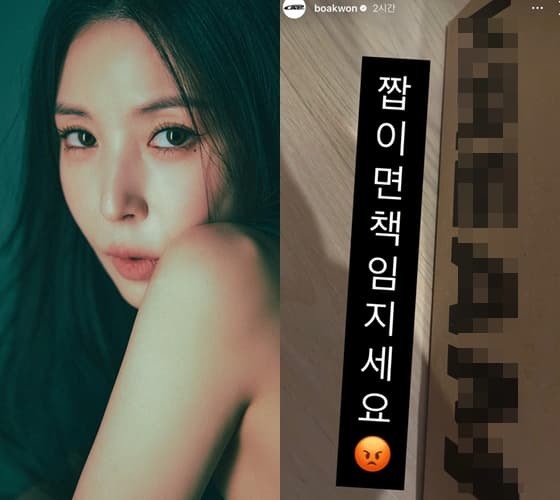 보아, 야밤에 또 급발진? SNS 발칵 뒤집어놨다.."짭이면 책임지세요" 공개 저격 [스타이슈]