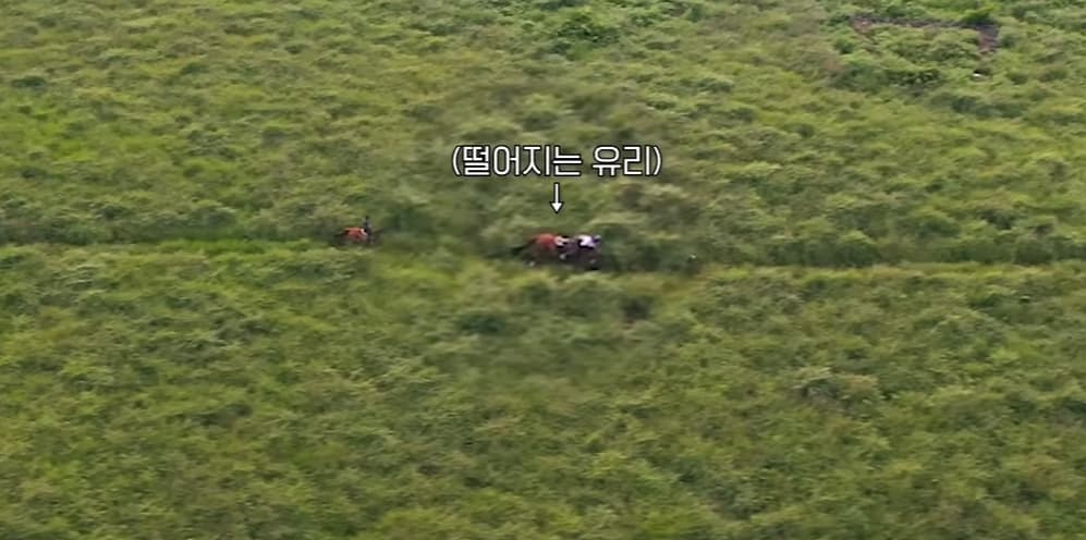 사진=권유리 유튜브