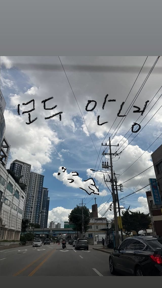 사진=이효리 SNS