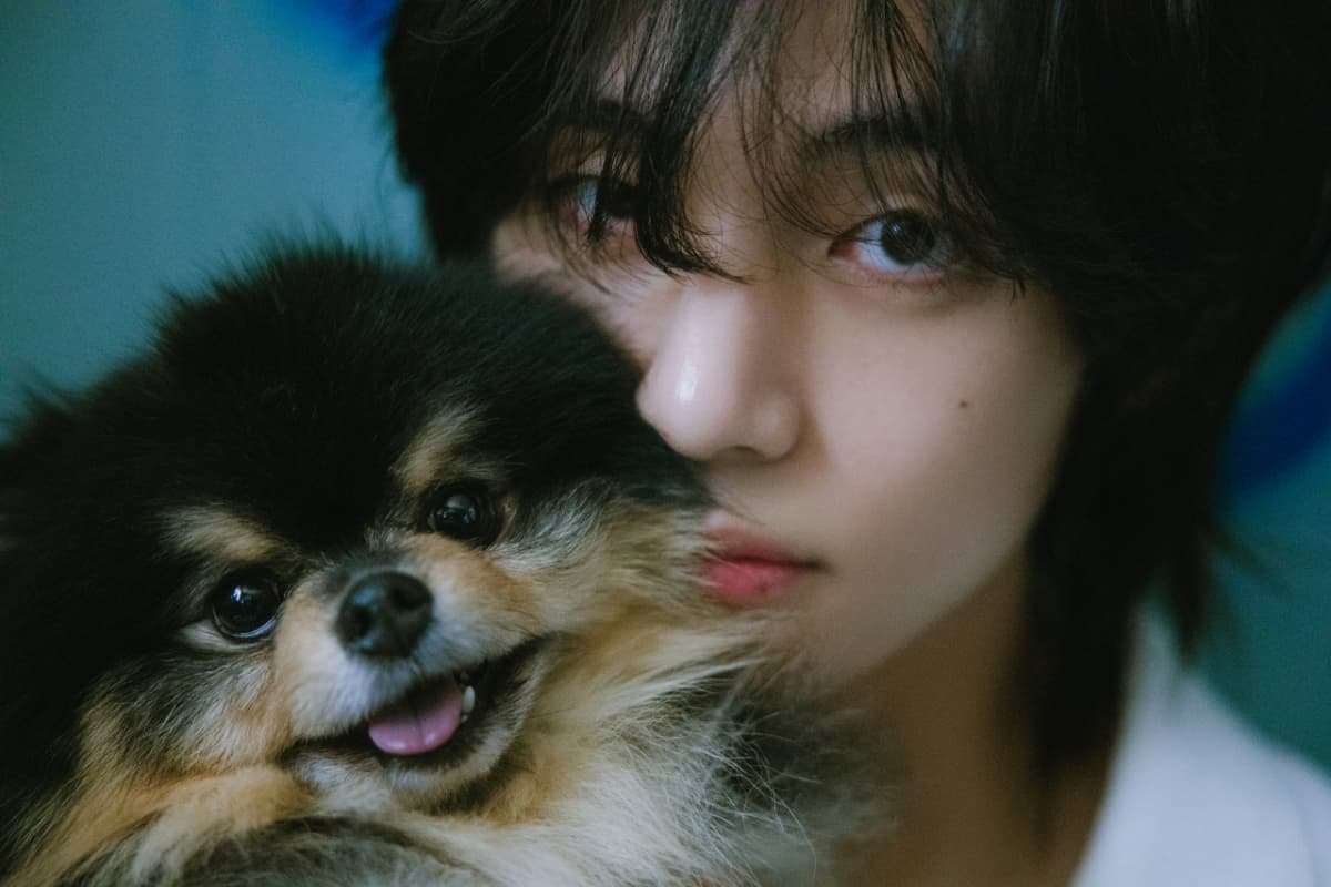 "5년 동안 태태를 좋아하고 있어요" 방탄소년단 뷔 향한 日 가부키 왕자 단코의 '뜨거운 팬심'