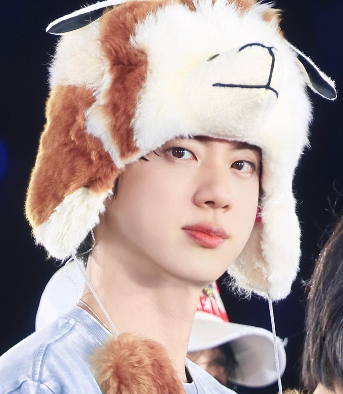 'JIN PERU TE AMA♥' 방탄소년단 진 페루 팬들 '역대급 대형 서포트'