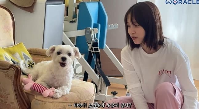 '이상한 공통점'..박위네 반려견 이름='기억', 윤소희 드라마 제목과 일치 [스타이슈]