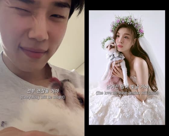 '에일리♥' 최시훈, 딸 잃은 슬픔..'반려견 장례식' MV 제작