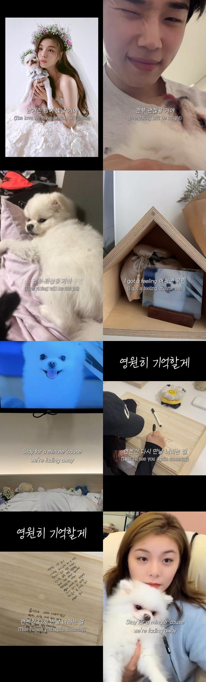 사진=최시훈 SNS