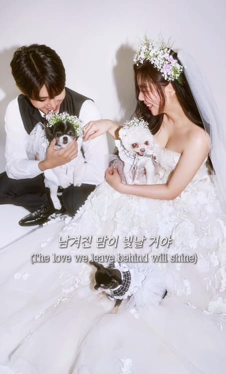 사진=최시훈 SNS