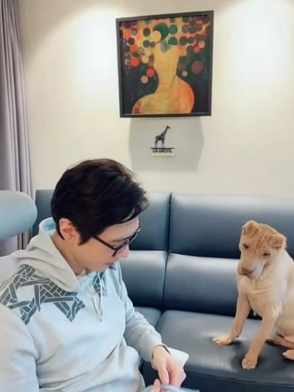 사진=고지용 SNS