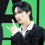33번째 이미지