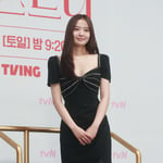 29번째 이미지