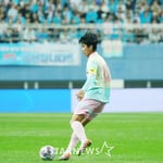 33번째 이미지
