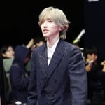 29번째 이미지